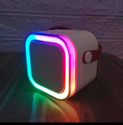 "ব্লুটুথ স্পিকার এবং একটি হ্যান্ড মাইক্রোফোন"